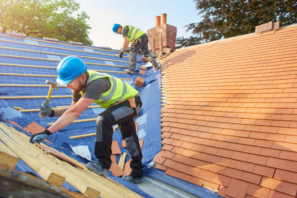 Best Emergency Roof Repair Services  in Arlington, NE